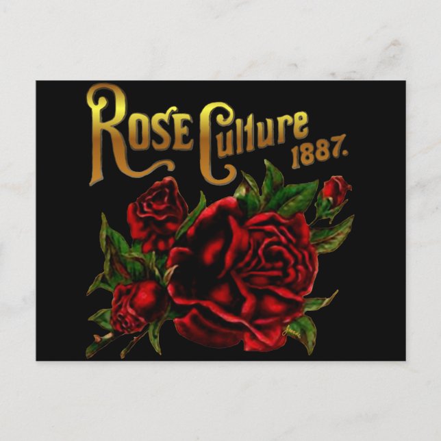 Carte Postale Culture rose 1887 (Devant)