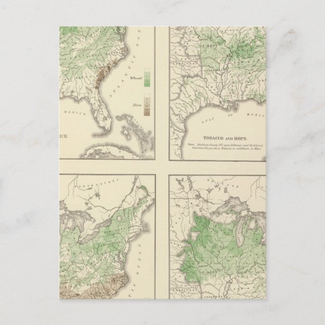 Carte Postale Cultures, statistique US Lithographe (Devant)