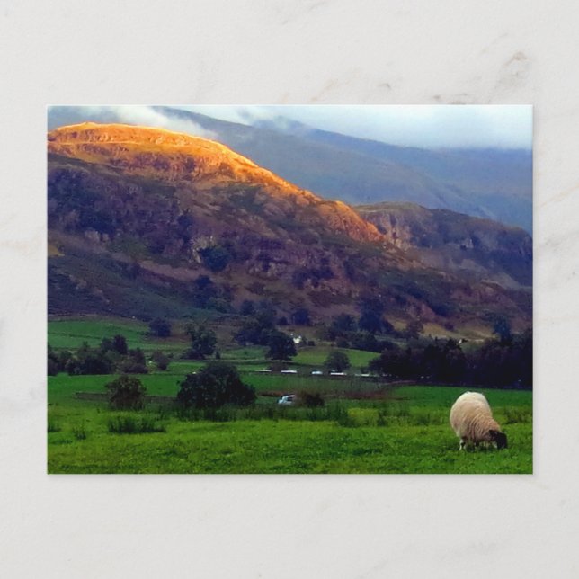 Carte Postale Cumbria à haute altitude (Devant)