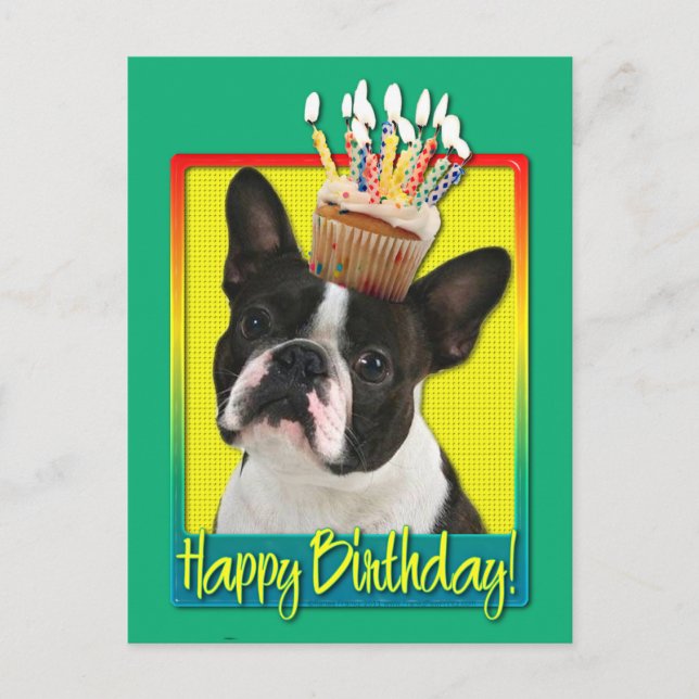Carte Postale Cupcake anniversaire - Boston Terrier (Devant)