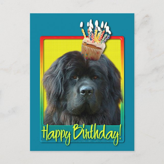 Carte Postale Cupcake anniversaire - Terre-Neuve (Devant)