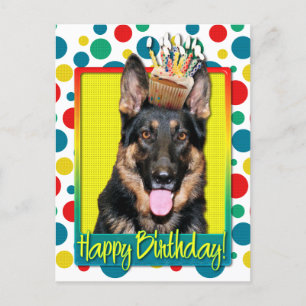 Carte Postale Cupcake d'anniversaire - Berger allemand - Kuno