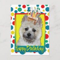 Cupcake d'anniversaire - Cairn Terrier - Teddy Bea