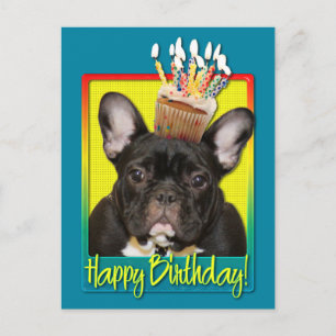 Carte Postale Cupcake d'anniversaire - Chien de taureaux françai
