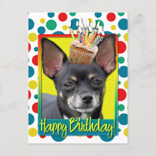 Carte Postale Cupcake d'anniversaire - Chihuahua - Isabella