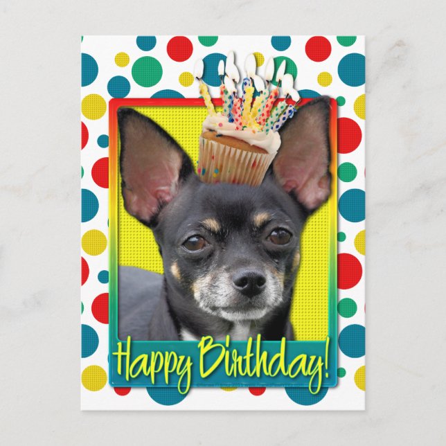 Carte Postale Cupcake d'anniversaire - Chihuahua - Isabella (Devant)