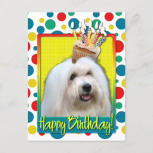 Carte Postale Cupcake d'anniversaire - Coton de Tulear