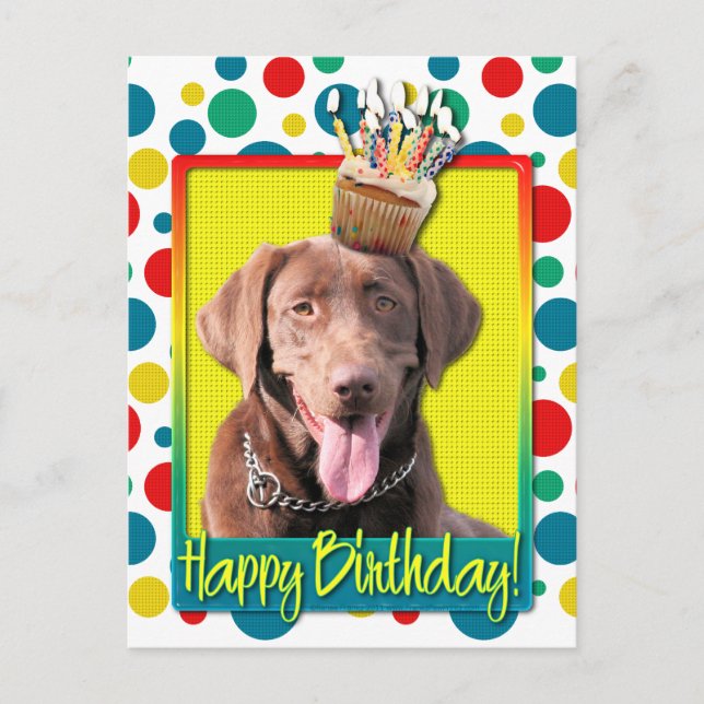 Carte Postale Cupcake d'anniversaire - Labrador - Chocolat (Devant)