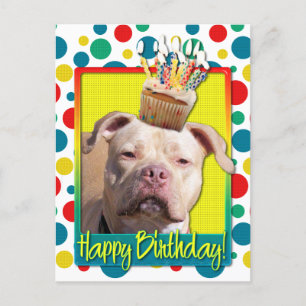 Carte Postale Cupcake d'anniversaire - Pitbull - Jersey Girl