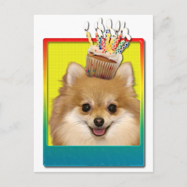 Carte Postale Cupcake d'anniversaire - Pomeranian (Devant)