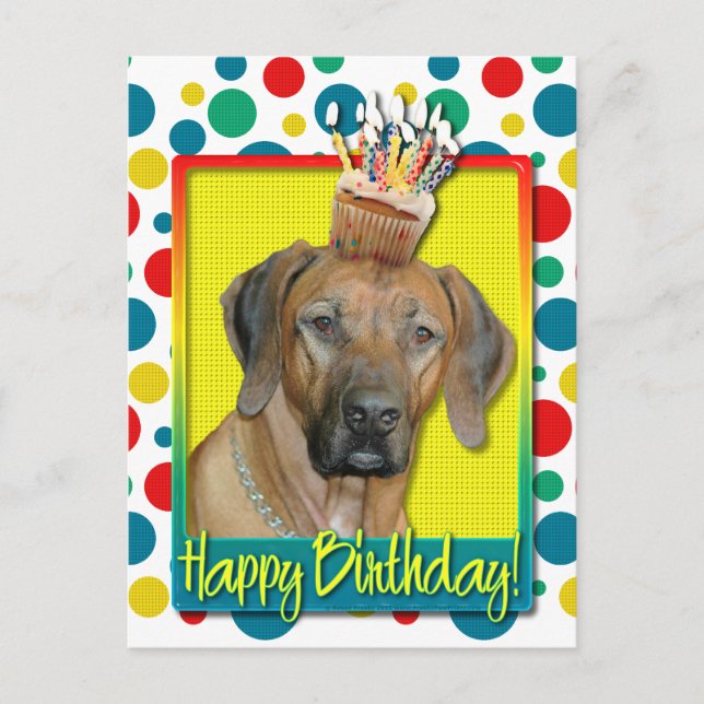 Carte Postale Cupcake d'anniversaire - Rhodesian Ridgeback (Devant)
