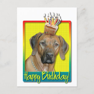 Carte Postale Cupcake d'anniversaire - Rhodesian Ridgeback
