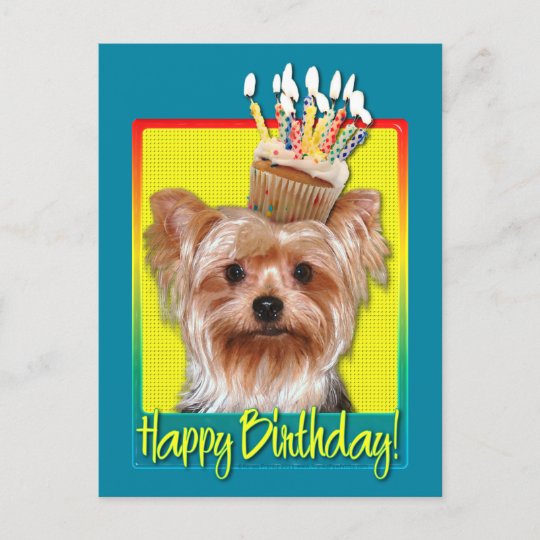Carte Postale Cupcake D Anniversaire Yorkshire Terrier Zazzle Fr
