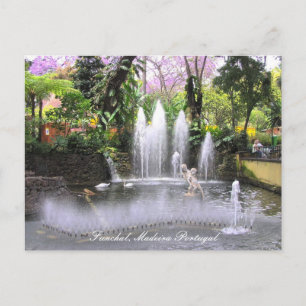 Carte Postale Cupids Fontaines d'eau Funchal, Madère (Portugal)