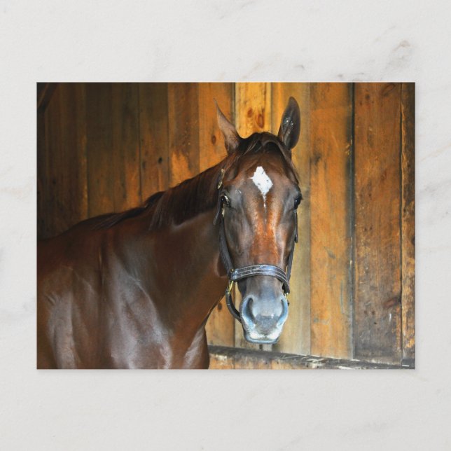 Carte Postale Curalina (Devant)