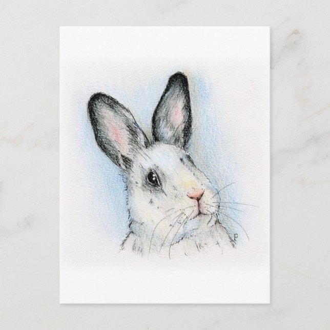 Carte Postale Curieux (Devant)