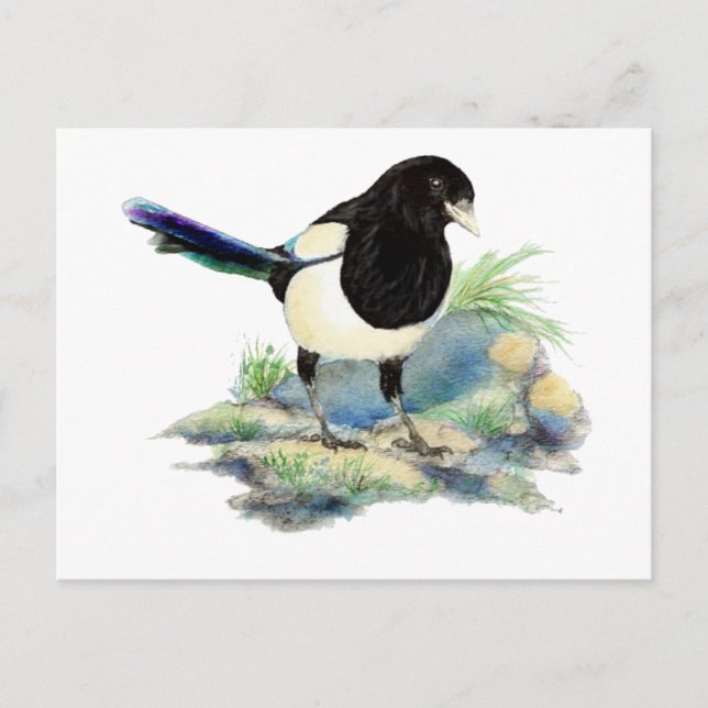 Carte Postale Curieux aquarelle Magpie Oiseau Art (Devant)