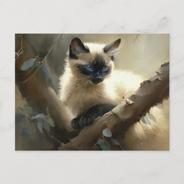 Carte Postale Curieux grimpeur Siamese Kitten (Devant)