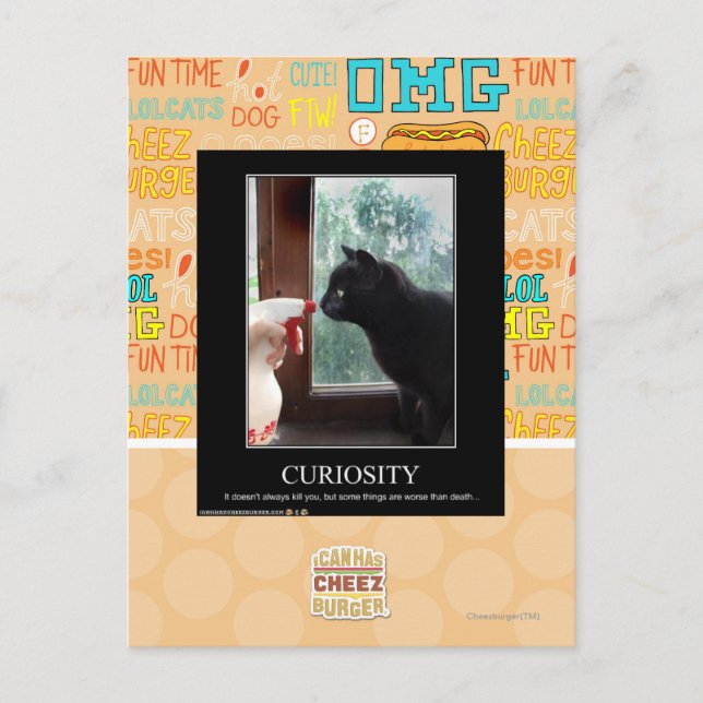 Carte Postale Curiosité (Devant)