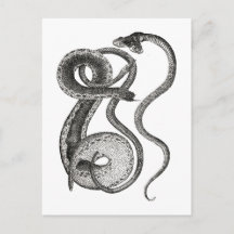 Curiosités de serpent à deux têtes vintage et biza