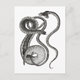Carte Postale Curiosités de serpent à deux têtes vintage et biza