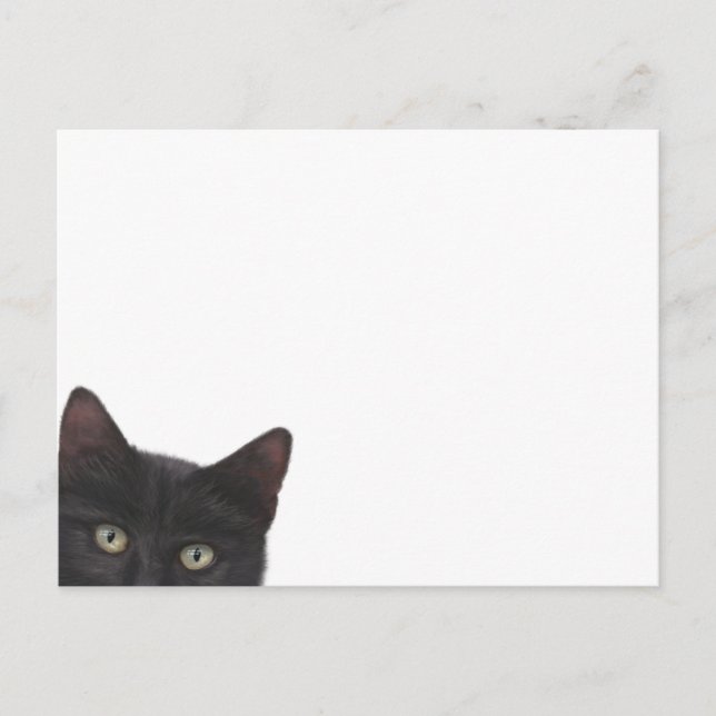 Carte Postale Curious Kitty peinture numérique (Devant)