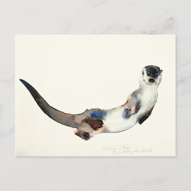 Carte Postale Curious Otter 2003 (Devant)