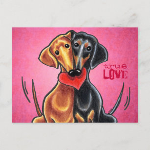 Carte Postale Custom de Dachshunds
