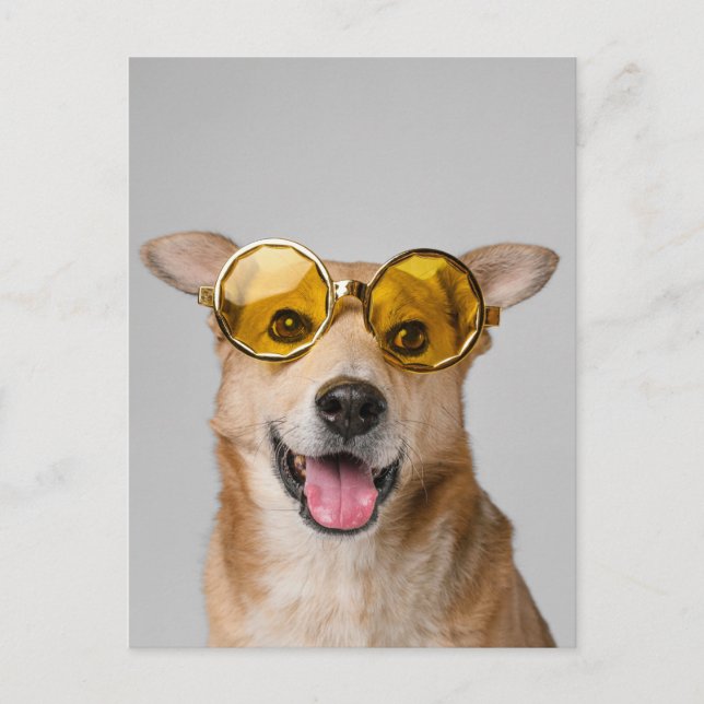 Carte Postale cute and funny dog with glasses  (Devant)