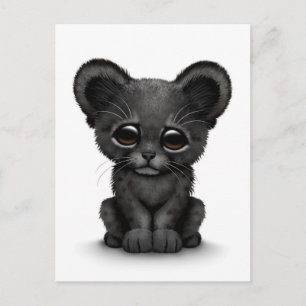 Carte Postale Cute Baby Black Panther Cub sur Blanc