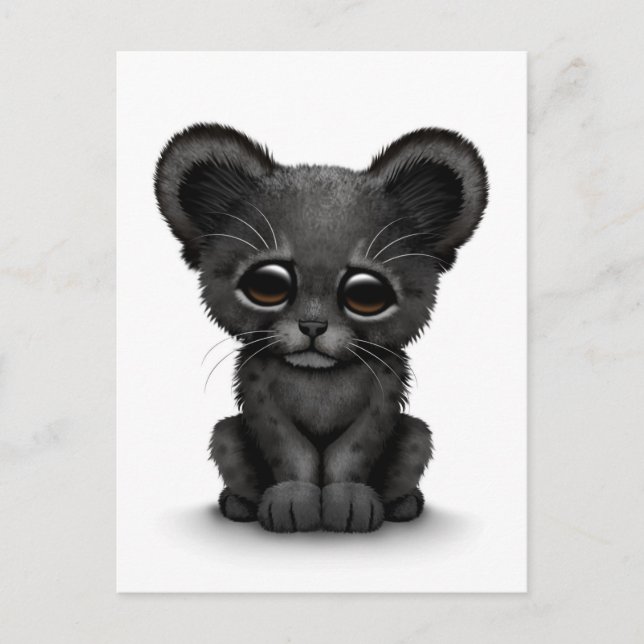 Carte Postale Cute Baby Black Panther Cub sur Blanc (Devant)