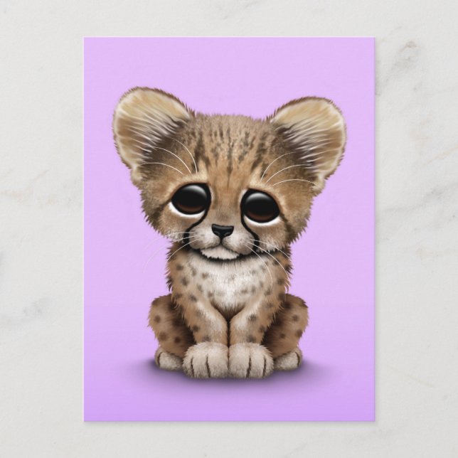 Carte Postale Cute Baby Cheetah Cub sur Purple (Devant)