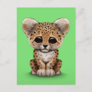 Carte Postale Cute Baby Leopard Cub on Green