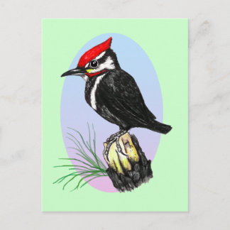Carte postale Cute Baby Woodpecker