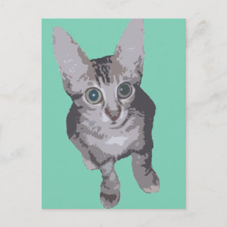 Carte Postale Cute Big Eyes Kitten