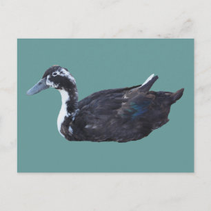 Carte postale Cute Black Duck Farm Animal
