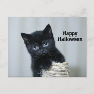 Carte Postale Cute Black Kitten Twine Photo Halloween