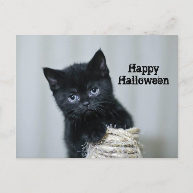 Carte Postale Cute Black Kitten Twine Photo Halloween (Devant)