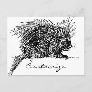 Carte Postale Cute Bristly Hedgehog Thunder_Cove