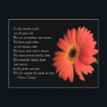 Carte Postale Cute Brother / Sister Anniversaire de naissance<br><div class="desc">Pour le monde extérieur, nous vieillissons tous. Mais pas pour les frères et sœurs. Nous nous connaissons comme nous avons toujours été. Nous connaissons le cœur l'un de l'autre. Nous partageons des blagues familiales privées. Nous nous souvenons des querelles familiales et des secrets, des chagrins et des joies de la...</div>