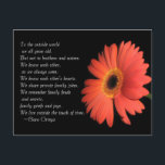 Carte Postale Cute Brother / Sister Anniversaire de naissance de<br><div class="desc">Pour le monde extérieur, nous vieillissons tous. Mais pas pour les frères et sœurs. Nous nous connaissons comme nous avons toujours été. Nous connaissons le cœur l'un de l'autre. Nous partageons des blagues de famille privées. Nous nous souvenons des querelles familiales et des secrets, des chagrins et des joies de...</div>