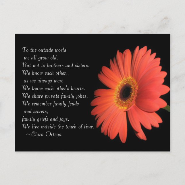 Carte Postale Cute Brother / Sœur jolie Anniversaire de frères e (Devant)