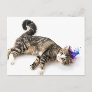 Carte Postale cute cat happy birthday