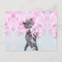 Cute Cat rose plume