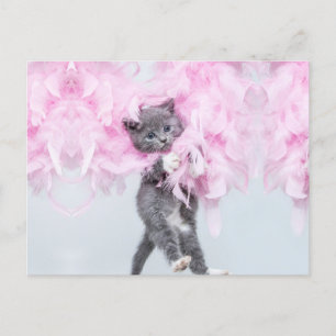 Carte Postale Cute Cat rose plume