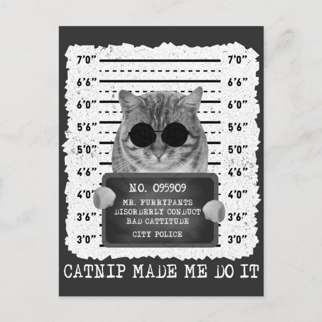 Carte Postale Cute Catnip M'A Fait Faire Chat Mugshot (Devant)