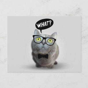 Carte Postale Cute Chat chaton avec lunettes ce devis imprimer