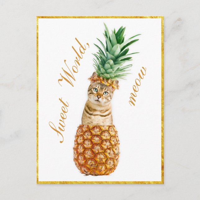 Carte Postale Cute chat dans un ananas - Funny Meow Kitty (Devant)