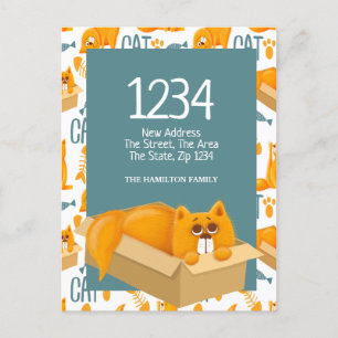 Carte Postale Cute Chat dans une boîte - Nous avons déménagé che