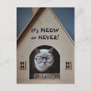 Carte Postale Cute Chat Porter des lunettes C'est Meow ou Never 